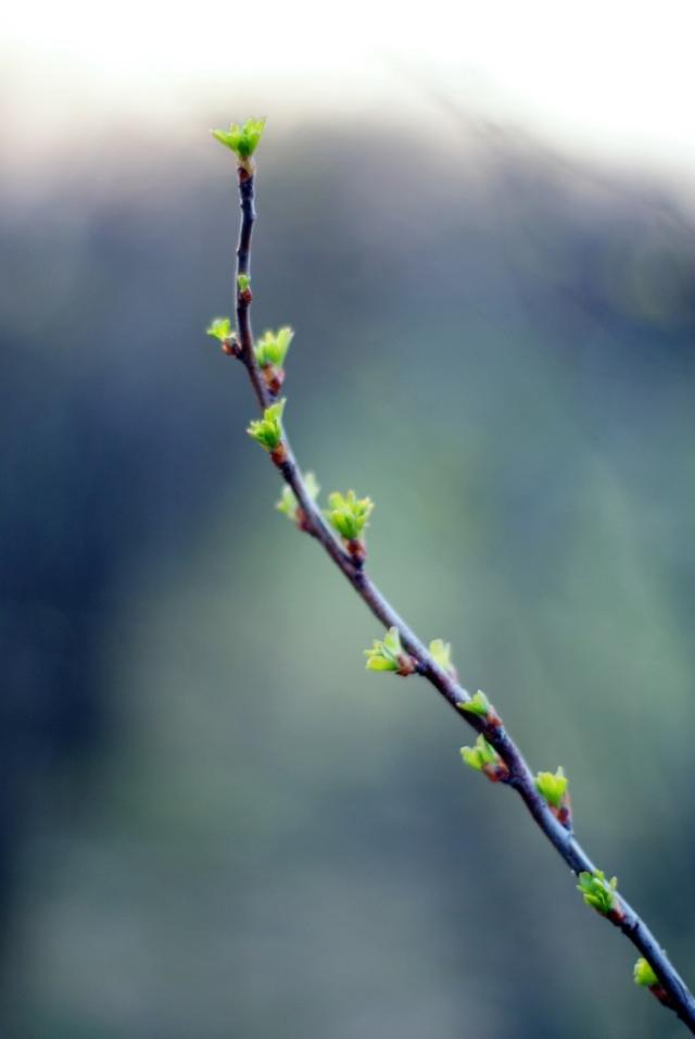 Signs of spring