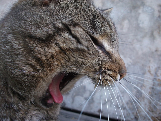 Wpis agatkawrz