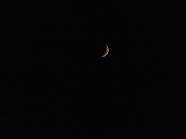 The moon