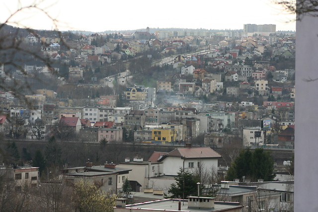 widok