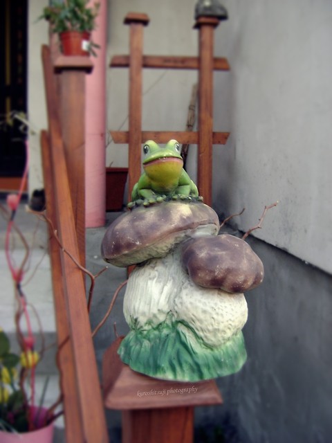 [10] Furoggu.