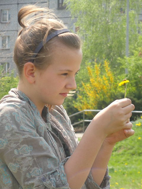 Wpis franciszek15
