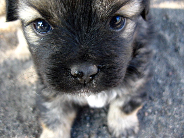 maaa < 33