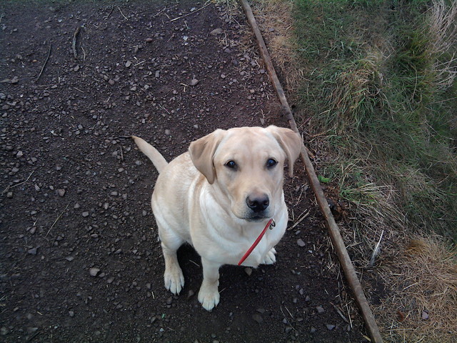 Lola ; - lolz
