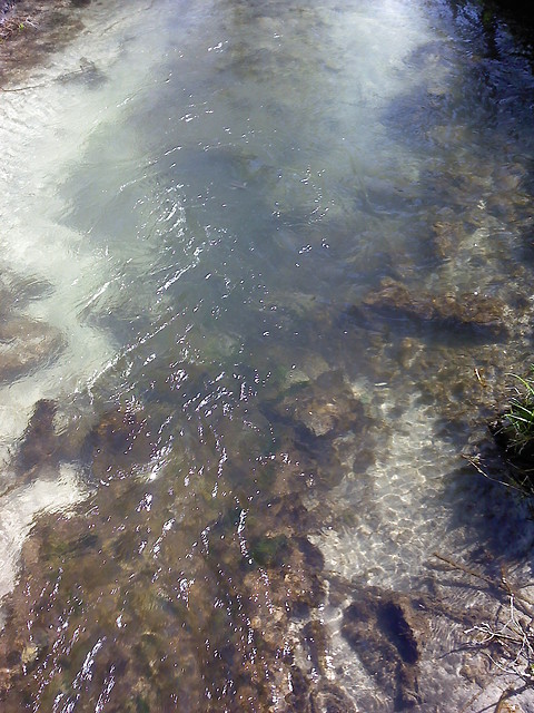 Wiosna.