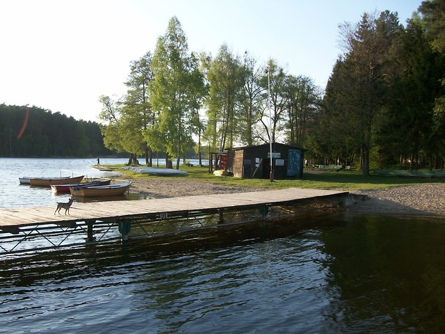 Brodnica
