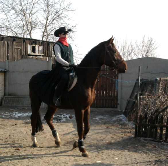 Winczentowe ;*