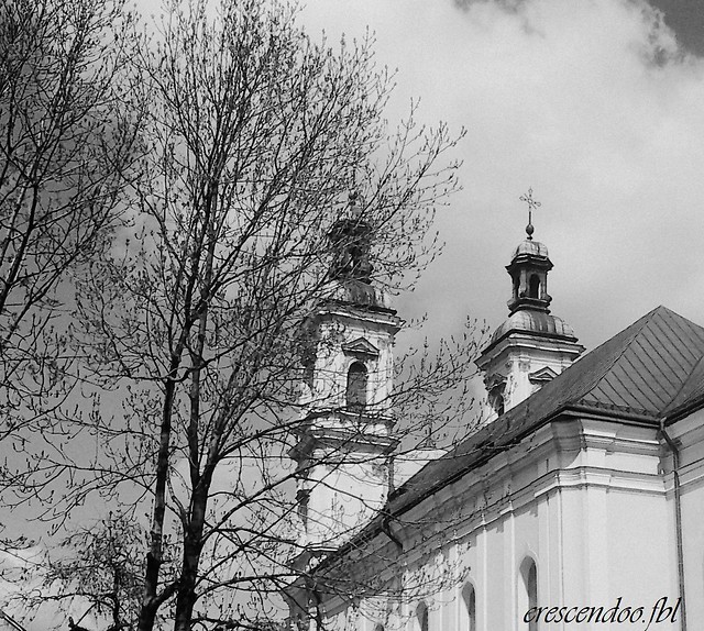 Bielsko, Koci