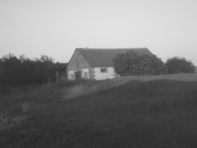 Wpis mylena001