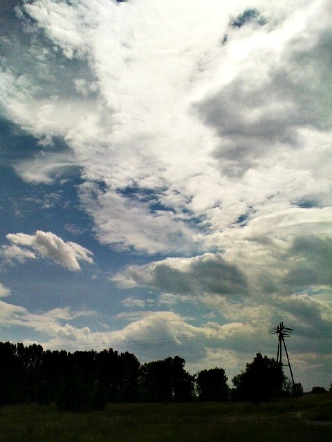 Pitek