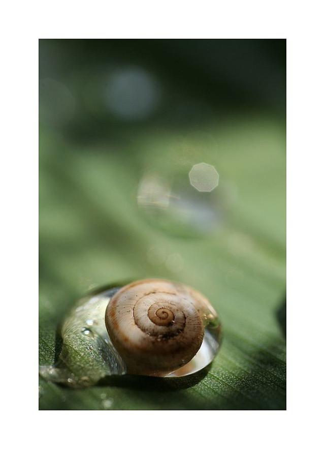 Wpis amateurphotographymj