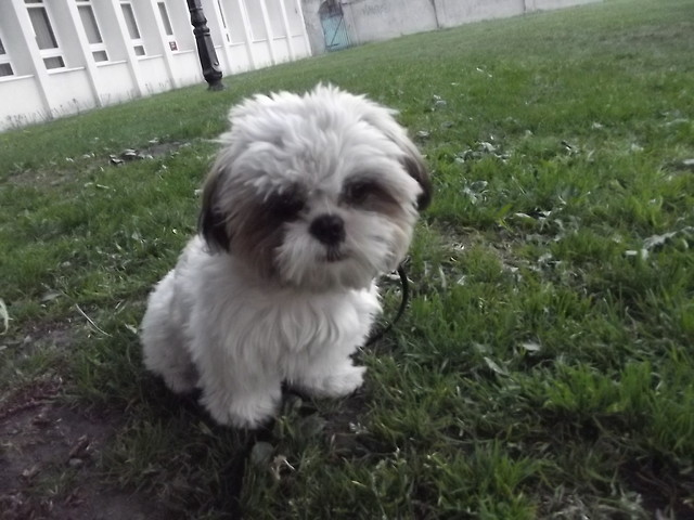 Na spacerze ♥