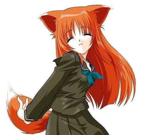 fox.
