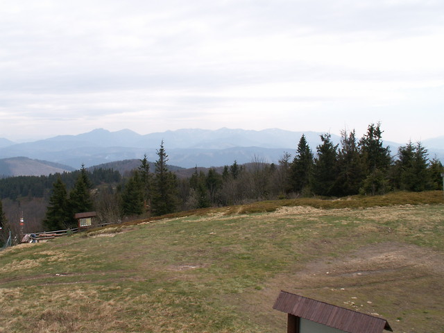 1236 m.n.p.m