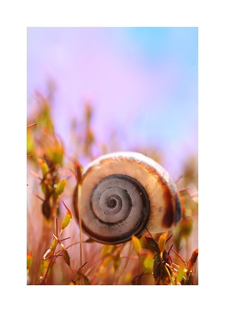 Wpis amateurphotographymj