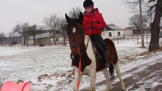 Harlej i ja