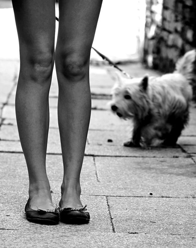 Long legs. 