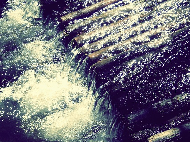 Wpis malinowafotografia