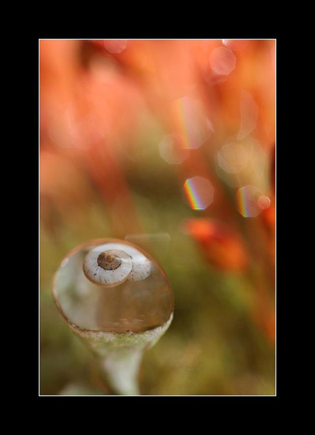 Wpis amateurphotographymj