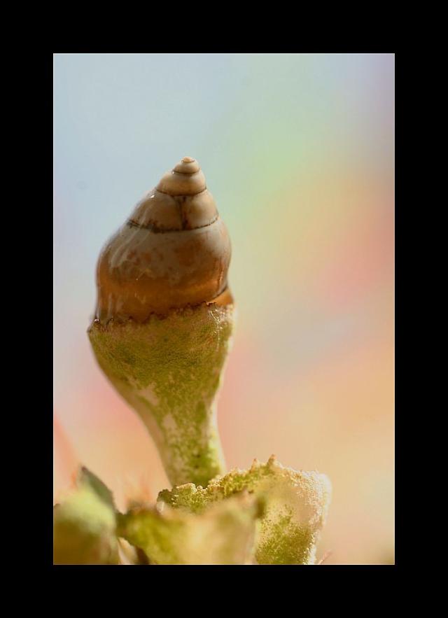 Wpis amateurphotographymj
