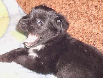 nika :****