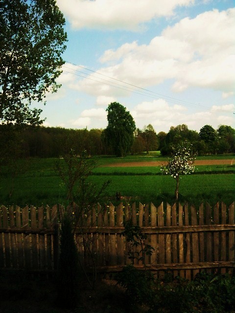 Na wsi.