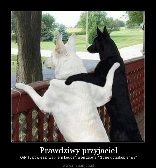 PRZYJA