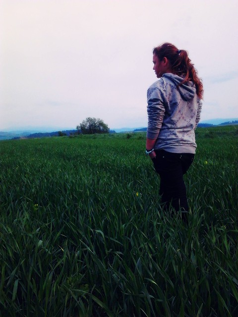Wpis kasx