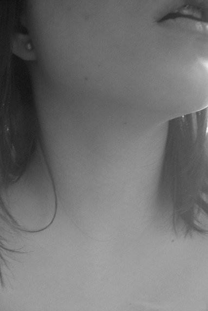 Wpis cannamelle