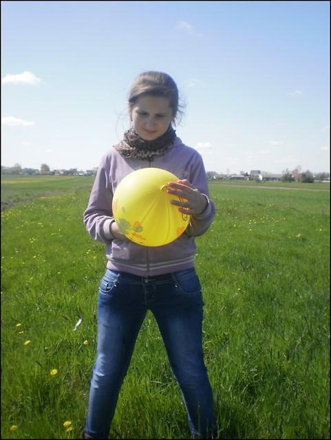 Wpis domi2000