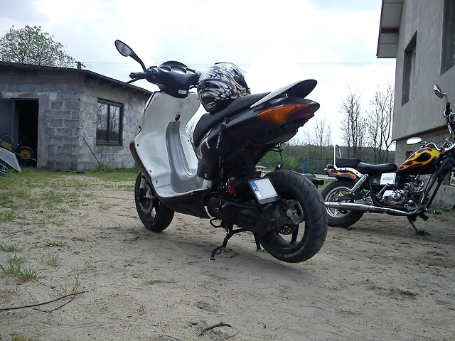Wpis cayman4