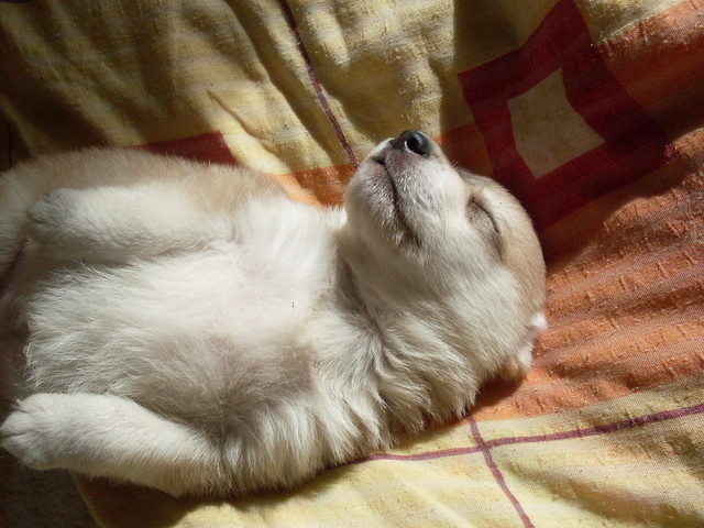 cezAr  :) ^^ 