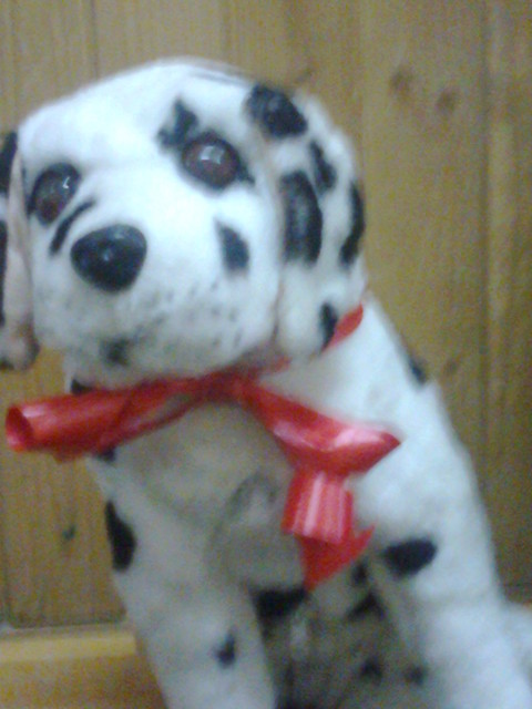 Kropka ; ***