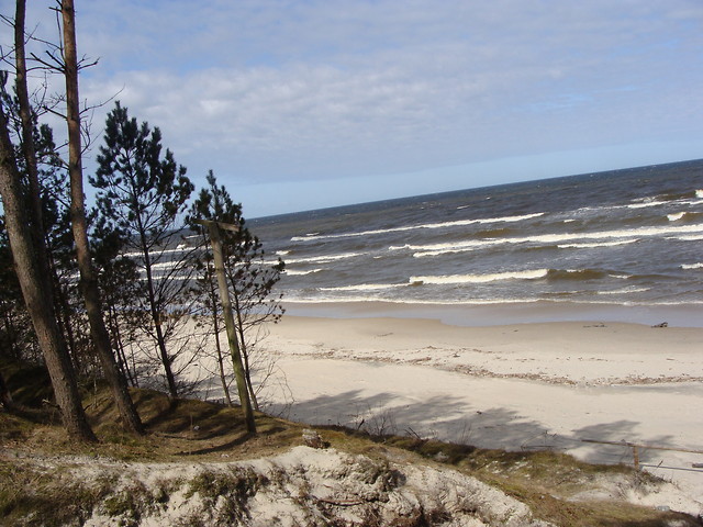 Morze 2011