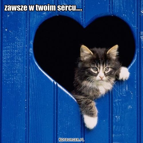 przyja?