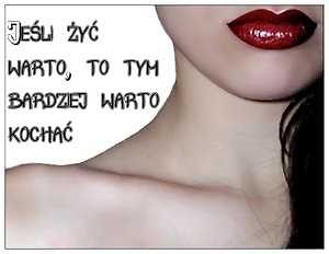 Warto Kocha . !