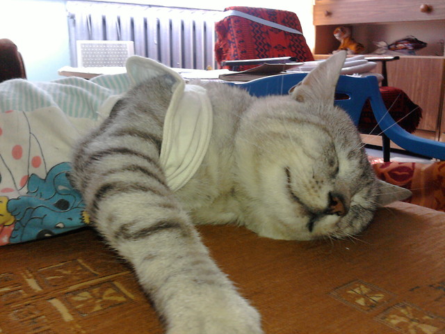 Moje Kochanie :***