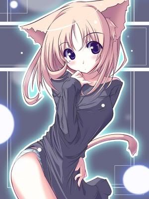 Wpis furykat