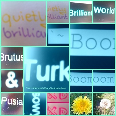 Wpis quietlybrilliant