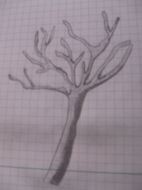 Wpis niebieskax6