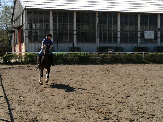 Wpis michalina2009