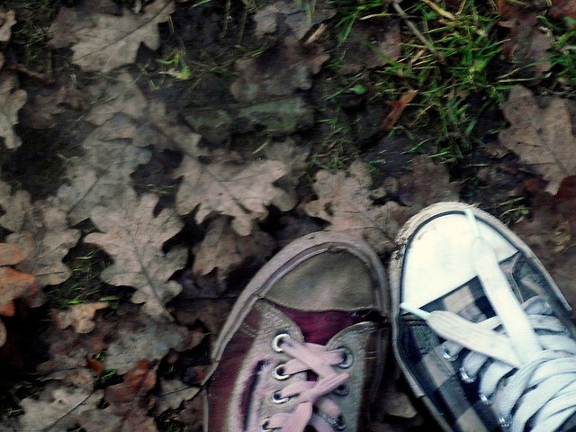 last autumn n' the dead trainers