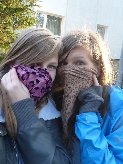 friendship