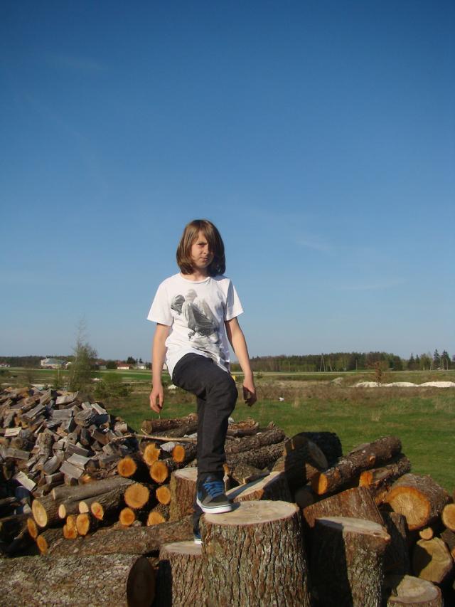 Wpis bushman1
