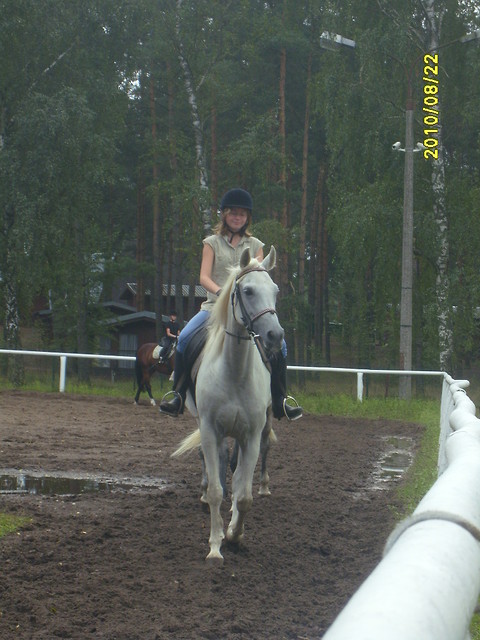 Wpis michalina2009