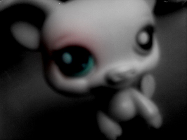 3. Piggy