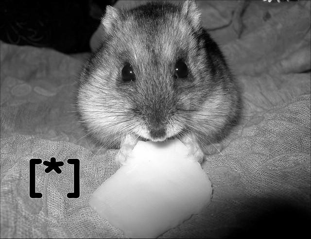 Bella [*]