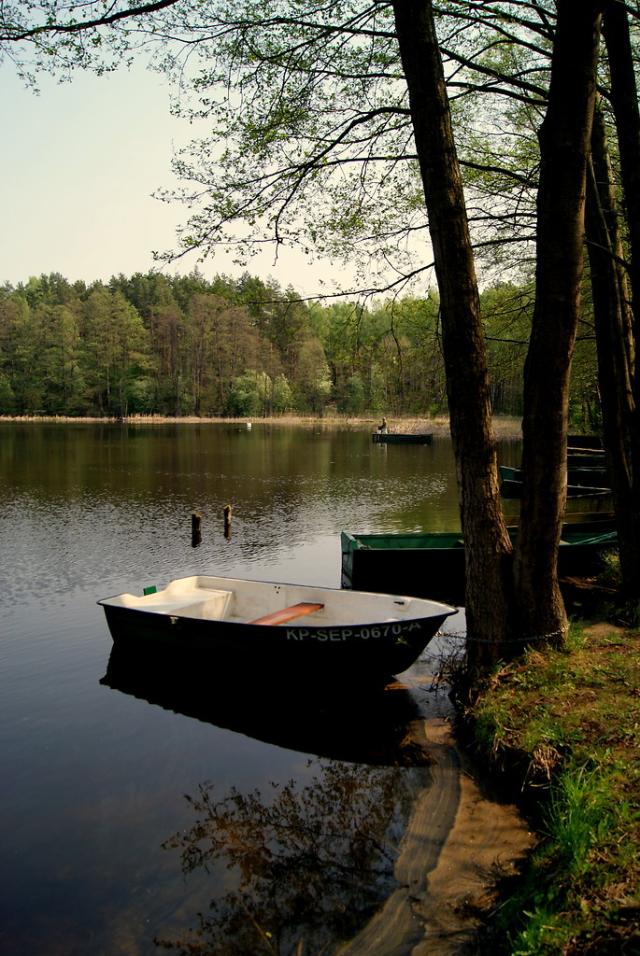 Lutwko.