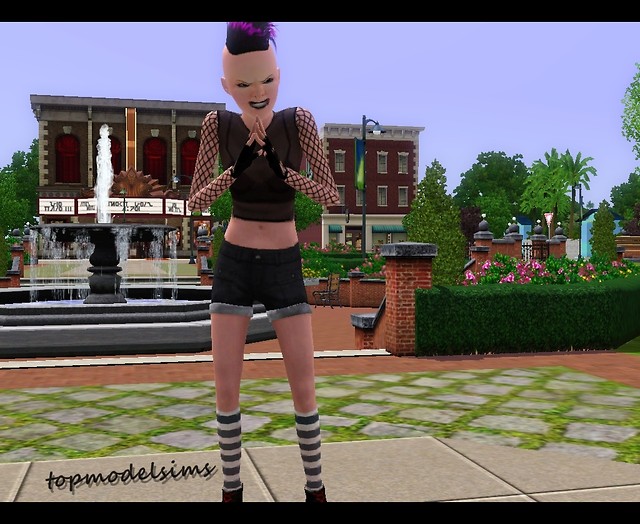 Wpis topmodelsims