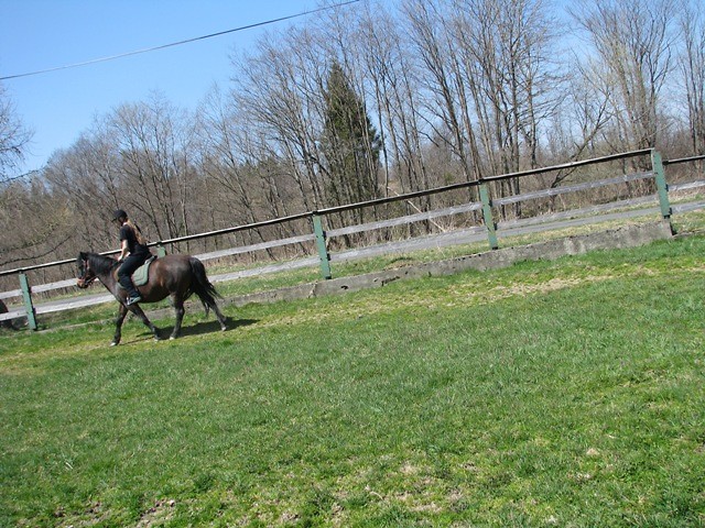 Z Oktanciem;**